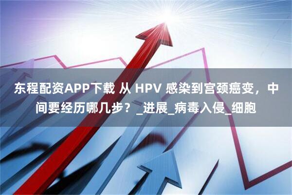 东程配资APP下载 从 HPV 感染到宫颈癌变，中间要经历哪几步？_进展_病毒入侵_细胞