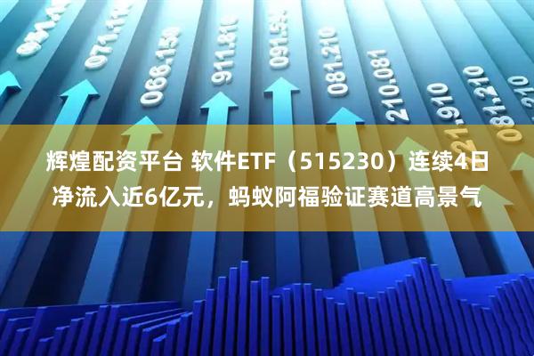 辉煌配资平台 软件ETF（515230）连续4日净流入近6亿元，蚂蚁阿福验证赛道高景气
